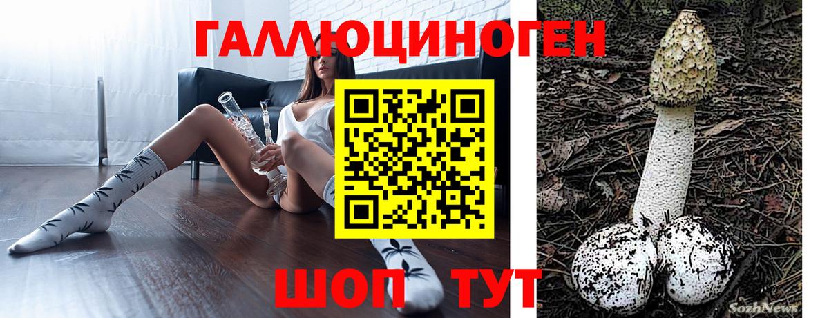 Псилоцибиновые грибы мицелий  Вход с VPN  Саратов 