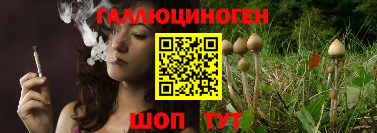 Галлюциногенные грибы Cubensis Саратов